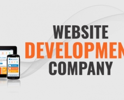 All About Website Development Company in India