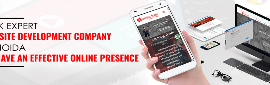 Pick expert Website Development Company in Noida to have an effective online presence